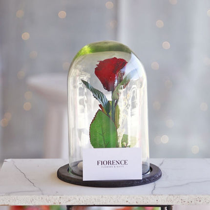 Glass Dome with Preserved Rose