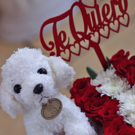 Jardín de Rosas, Chocolates y Tierno Peluche