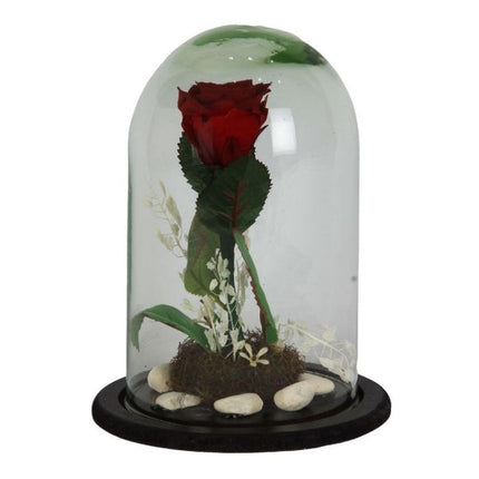 Glass Dome with Preserved Rose