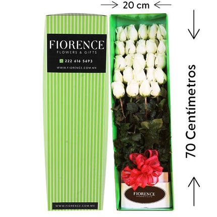 Gift Box with 24 White Roses